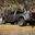 CATALYST DUALLY