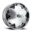 S811 CHINCHILLA