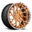 BLQ-T