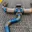 Exhaust System For Audi TTRS V1