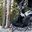 The Pet Lounger | Quick Fold Dog Camp Chair