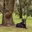 Pet Tethering Leash System