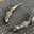 EXHAUST CATLESS DOWNPIPE for FERRARI SF90 4.0T