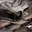 Front Differential Drop Kit for Lexus LX470 (1998-2007)