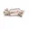 EXHAUST DOWNPIPE for CADILLAC CT5 2.0T 2019 - 2024
