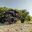 SPARK UTV