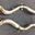 EXHAUST 200 CELL DOWNPIPE WITH HEAT SHIELD for FERRARI 12 CILINDRI V12 6.5 2024+