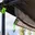 DeltaWing 90° Awning