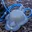 3 Gallon (12L) Portable Camping Pressure Solar Shower