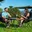Quick Fold Aluminum Camp Table