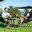 King Quad Camp Chair with Lumbar Support