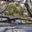 Atlas Roof Rack Crossbars for Toyota RAV4 (2019-2025)